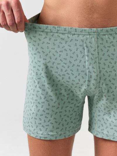 Трусы Mark Formelle 411158/24-4460П-0 геометрия_на_шалфее - фото 6