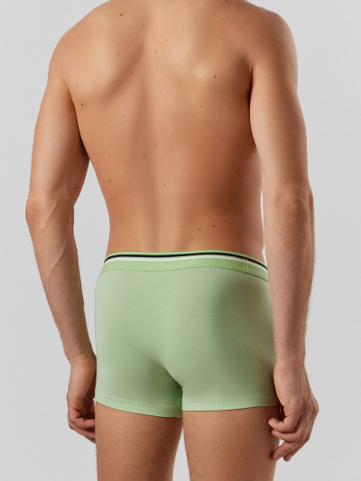 Трусы Mark Formelle 411188-2/25-5144П-5 зеленая_дымка_орнамент_на_сизом - фото 2