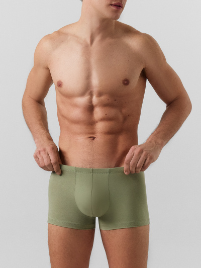 Трусы Mark Formelle 411216-2/25-5150Ц-5 зеленый_чай_серо_зеленый - фото 8