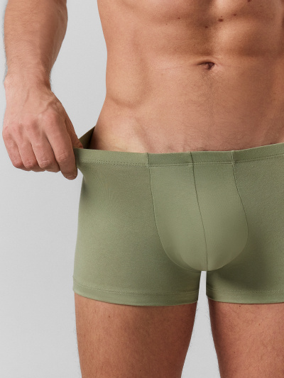 Трусы Mark Formelle 411216-2/25-5150Ц-5 зеленый_чай_серо_зеленый - фото 7