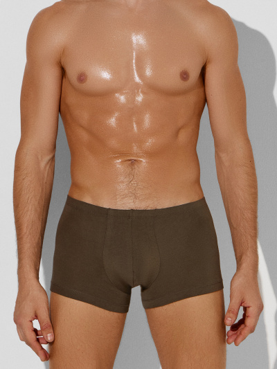 Трусы Mark Formelle 411216-2/25-5150Ц-5 табак_зеленый_Нил - фото 10