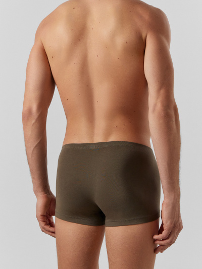 Трусы Mark Formelle 411216-2/25-5150Ц-5 табак_зеленый_Нил - фото 5