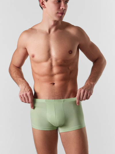 Трусы Mark Formelle 411216/24-4089Ц-5 зеленая_дымка - фото 1