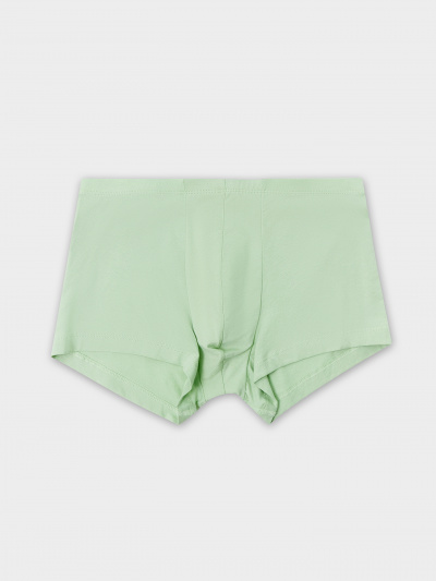 Трусы Mark Formelle 411216/24-4089Ц-5 зеленая_дымка - фото 5