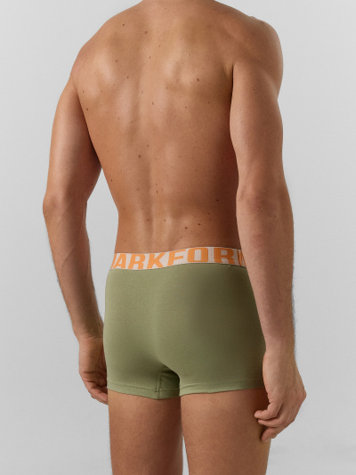 Трусы Mark Formelle 411228/24-4578П-5 зеленый_чай_печать_2_сл_на_ластовице - фото 4