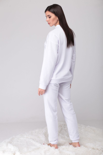Брюки и худи костюм 2-ка из хлопка для демисезона Fortuna ШЖ 695 - фото 4