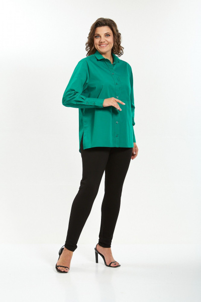 Рубашка Avenue 0301-10 - фото 8