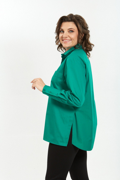 Рубашка Avenue 0301-10 - фото 6