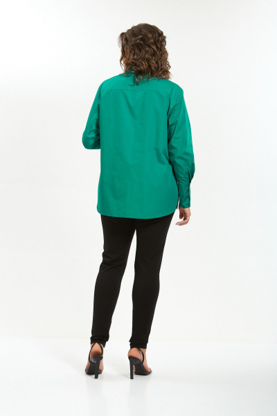 Рубашка Avenue 0301-10 - фото 3