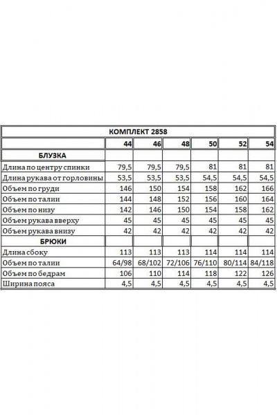Блуза, брюки EOLA 2858 молочный_синий_принт - фото 4