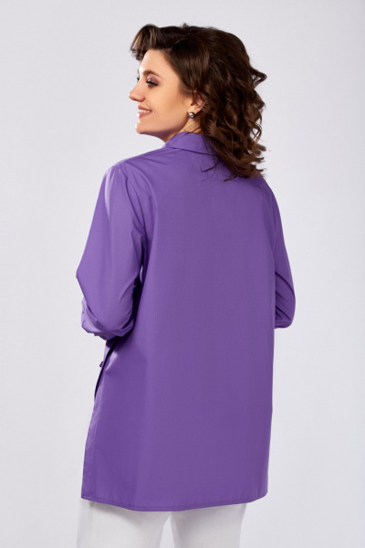 Рубашка Swallow 848 - фото 8