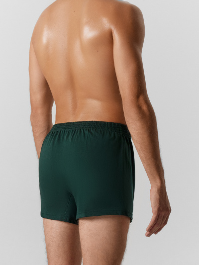 Трусы Mark Formelle 411152/25-4973Ц-0 зеленый_бархат1 - фото 35