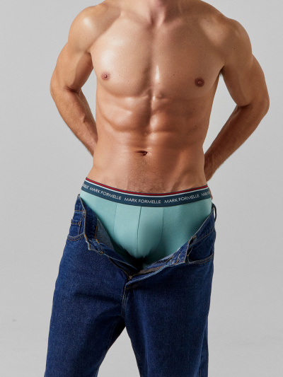 Трусы Mark Formelle 411215-2/25-5145П-5 пыльная_бирюза_геометрия_на_атлантике - фото 58