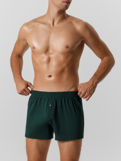 Трусы Mark Formelle 411152/25-4973Ц-0 зеленый_бархат1 - фото 38