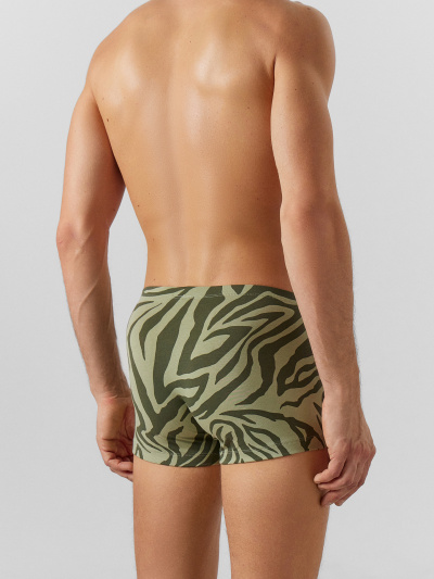 Трусы Mark Formelle 411216-2/25-5149П-5 зеленый_тигр_алюминий - фото 61