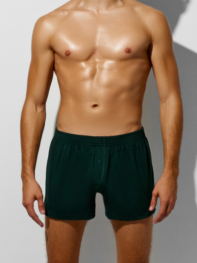 Трусы Mark Formelle 411152/25-4973Ц-0 зеленый_бархат1 - фото 49