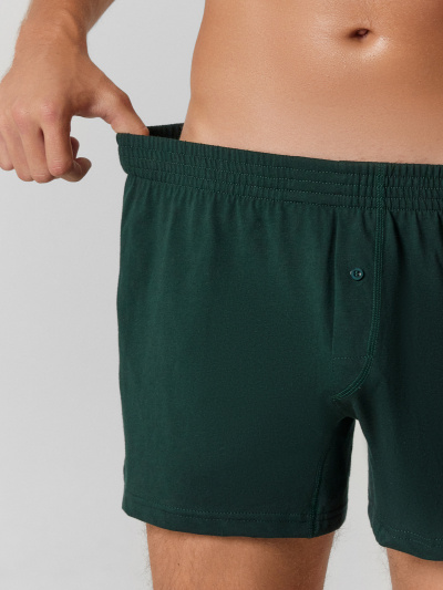 Трусы Mark Formelle 411152/25-4973Ц-0 зеленый_бархат1 - фото 52