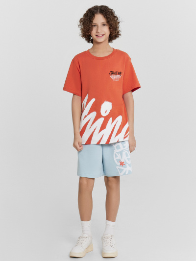 Шорты Mark Formelle 133350/24-30161П-7 голубая_дымка_печать - фото 77