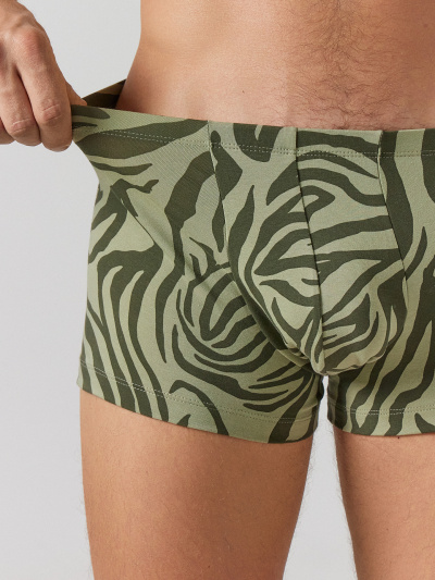 Трусы Mark Formelle 411216-2/25-5149П-5 зеленый_тигр_алюминий - фото 100