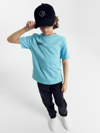 Футболка Mark Formelle 113397/24-26269П-0 морские_рифы_печать_1_сл_на_пол_2_сл_на_спинке - фото 70