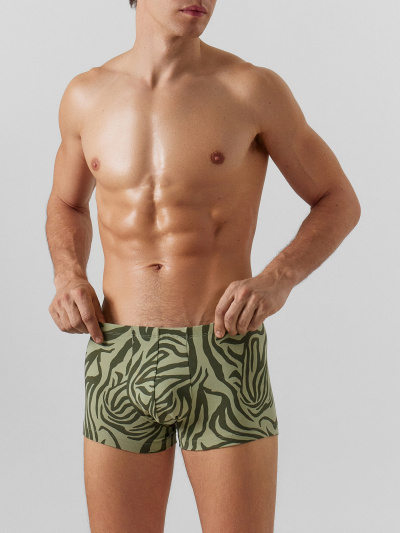 Трусы Mark Formelle 411216-2/25-5149П-5 зеленый_тигр_алюминий - фото 128