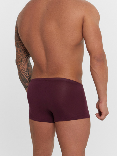 Трусы Mark Formelle 411216-3/25-5184Ц-5 винный_кедр_т.серый_декор - фото 28