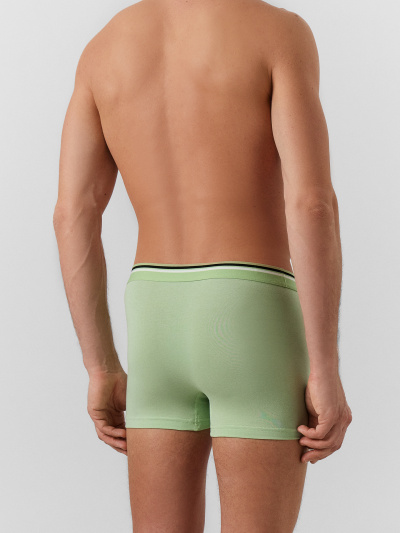 Трусы Mark Formelle 411215-3/25-5147Ц-5 зеленая_дымка_голубой_вино - фото 39