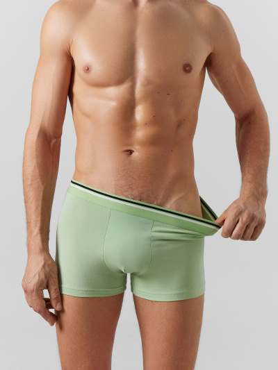 Трусы Mark Formelle 411228/24-4571Ц-5 зеленая_дымка - фото 104