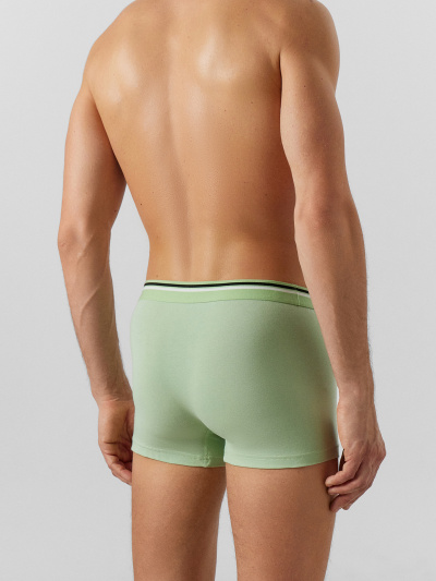 Трусы Mark Formelle 411228/24-4571Ц-5 зеленая_дымка - фото 106