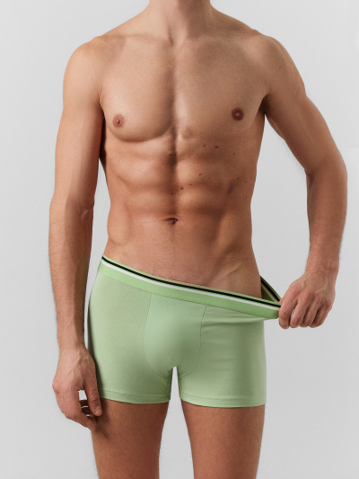 Трусы Mark Formelle 411215-3/25-5147Ц-5 зеленая_дымка_голубой_вино - фото 13