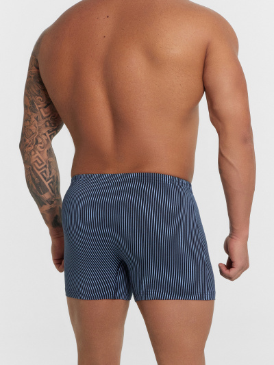 Трусы Mark Formelle 411152-2/25-5262П-5 тонкая_голубая_полоска_пыльный_голубой - фото 8