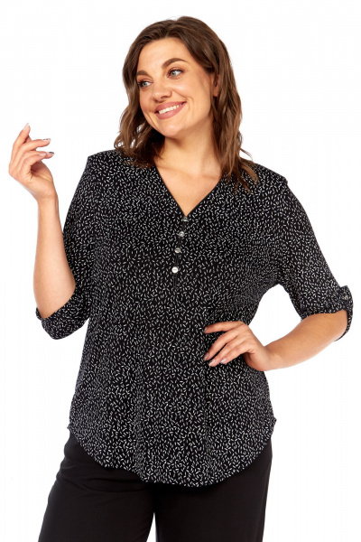 Блуза Abbi 4059 черно-белый - фото 1