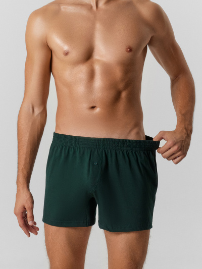 Трусы Mark Formelle 411152/25-4973Ц-0 зеленый_бархат1 - фото 2