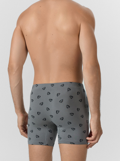 Трусы Mark Formelle 411155/24-4074П-5 зубры_на_т.сером_декор - фото 1