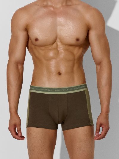 Трусы Mark Formelle 411224-3/25-5152Ц-5 табак_зеленый_чай_алюминий - фото 2