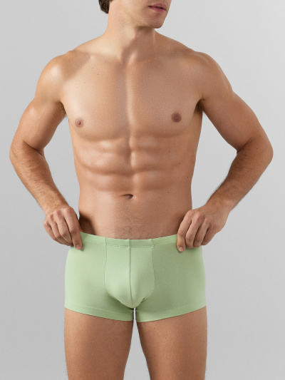 Трусы Mark Formelle 411122-3/25-4950П-5 св.зеленый_зеленый_лед_птицы_на_зеленом - фото 1