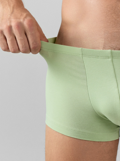 Трусы Mark Formelle 411122-3/25-4950П-5 св.зеленый_зеленый_лед_птицы_на_зеленом - фото 3