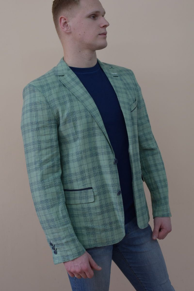 Пиджак из льна casual из льна с карманами и шлицами DOMINION 4391D 6C21-P49 182 зеленый - фото 1