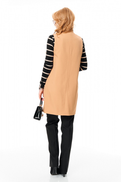 Брюки, водолазка, жилет T&N 7693 бежевый-черный - фото 8