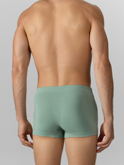 Трусы Mark Formelle 411230/25-4986П-5 зеленый_лед_печать_3_сл_на_ЛВ_пер_дет - фото 5