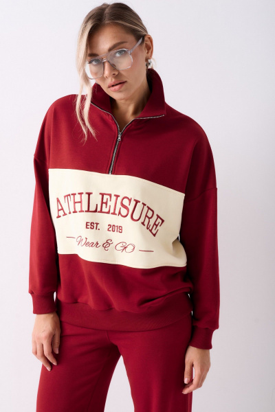 Брюки, джемпер GO F3177/12-01 - фото 3