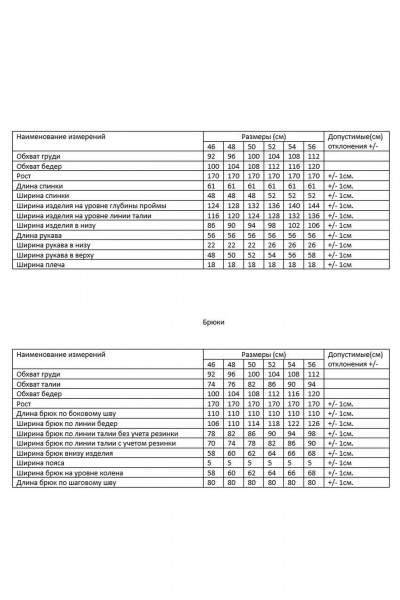 Брюки, джемпер AMUARt 1078 - фото 7