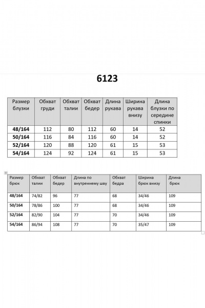 Блуза, брюки INVITE 6123 черный - фото 5