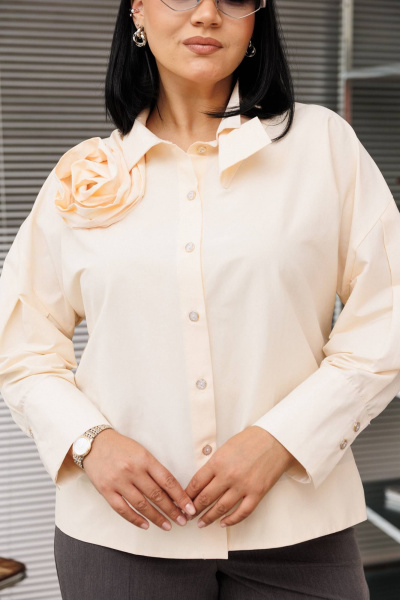 Блуза Anastasia 1204.2 пудровый - фото 4