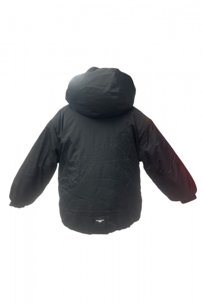 Куртка Франтишка З-3670 с-25с-151-с78 черный - фото 1