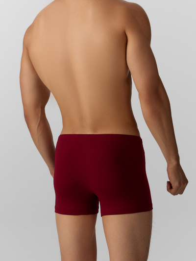 Трусы Mark Formelle 411134/25-4959П-5 т.вишневый_печать_2_сл_на_ЛВ_дет_пер - фото 10