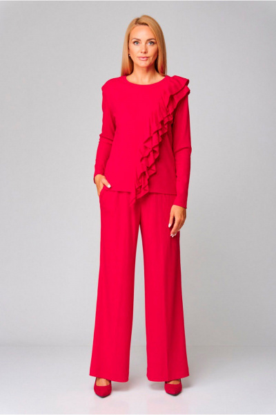Блуза, брюки Gamma Gracia 700 красный - фото 1