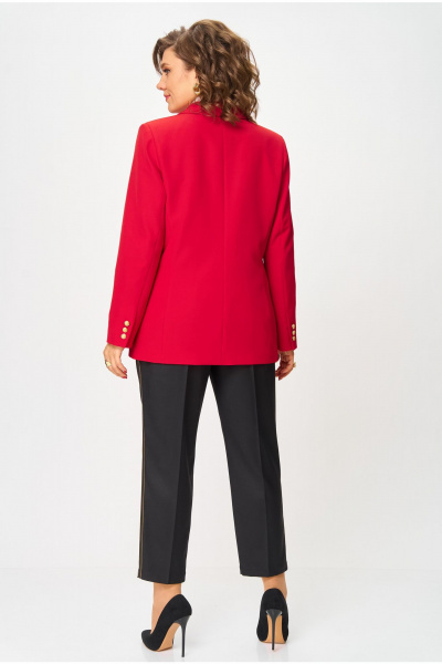 Брюки, жакет Andina city 9087-25 - фото 2