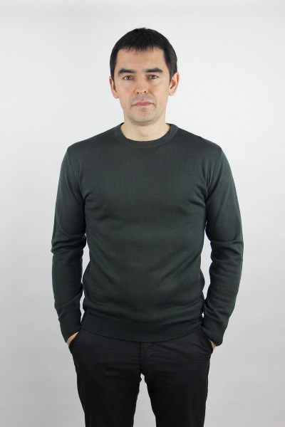 Джемпер мужской вязаный на каждый день с длинным рукавом Полесье С5624-19 0С2011-Д43 170,176 дипломат - фото 1