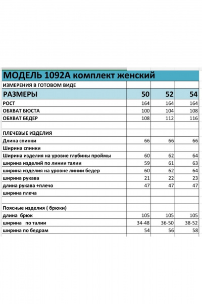 Блуза, брюки БагираАнТа 1092А красный - фото 8